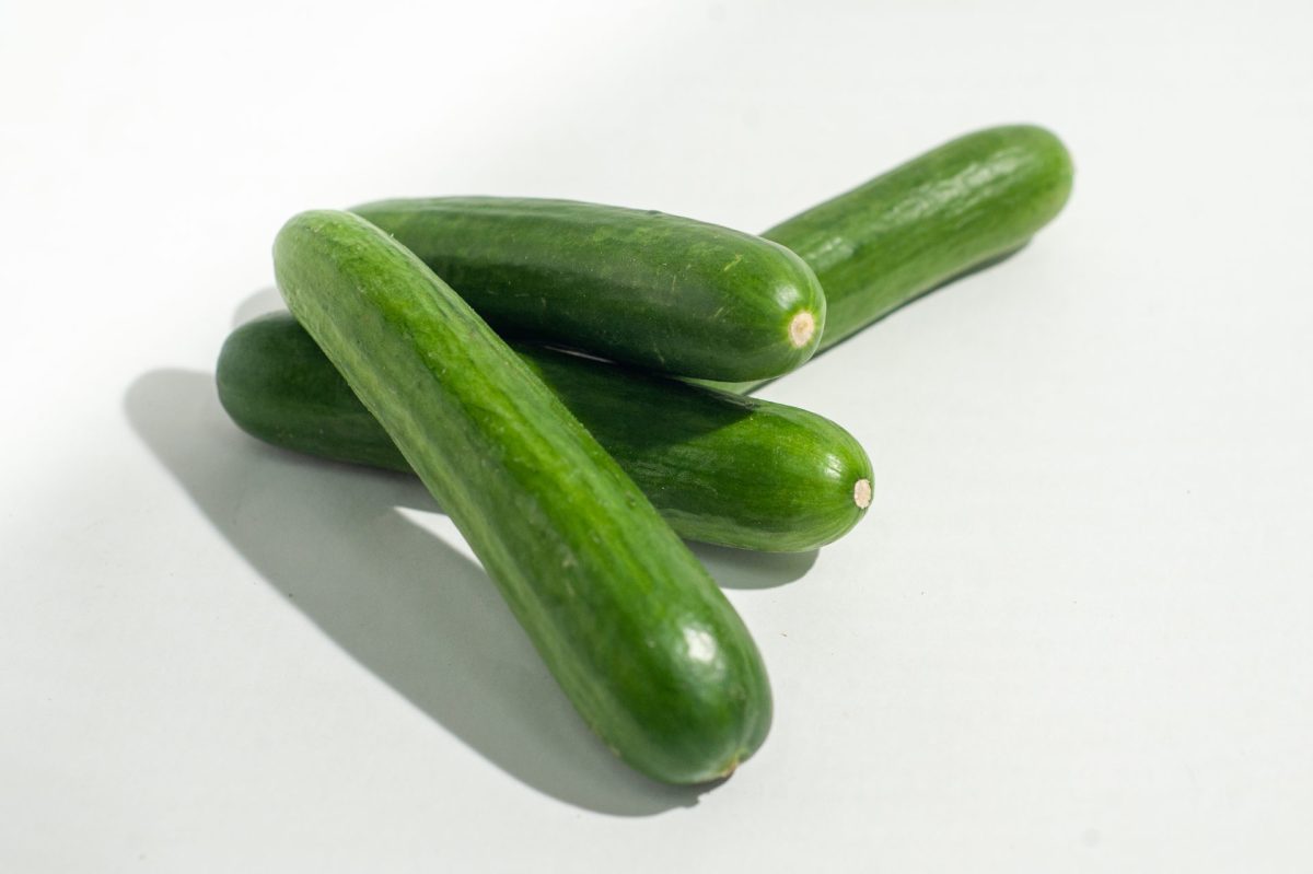 ⁦מלפפון (מושב אחיטוב) 1 קג⁩ – תמונה ⁦2⁩