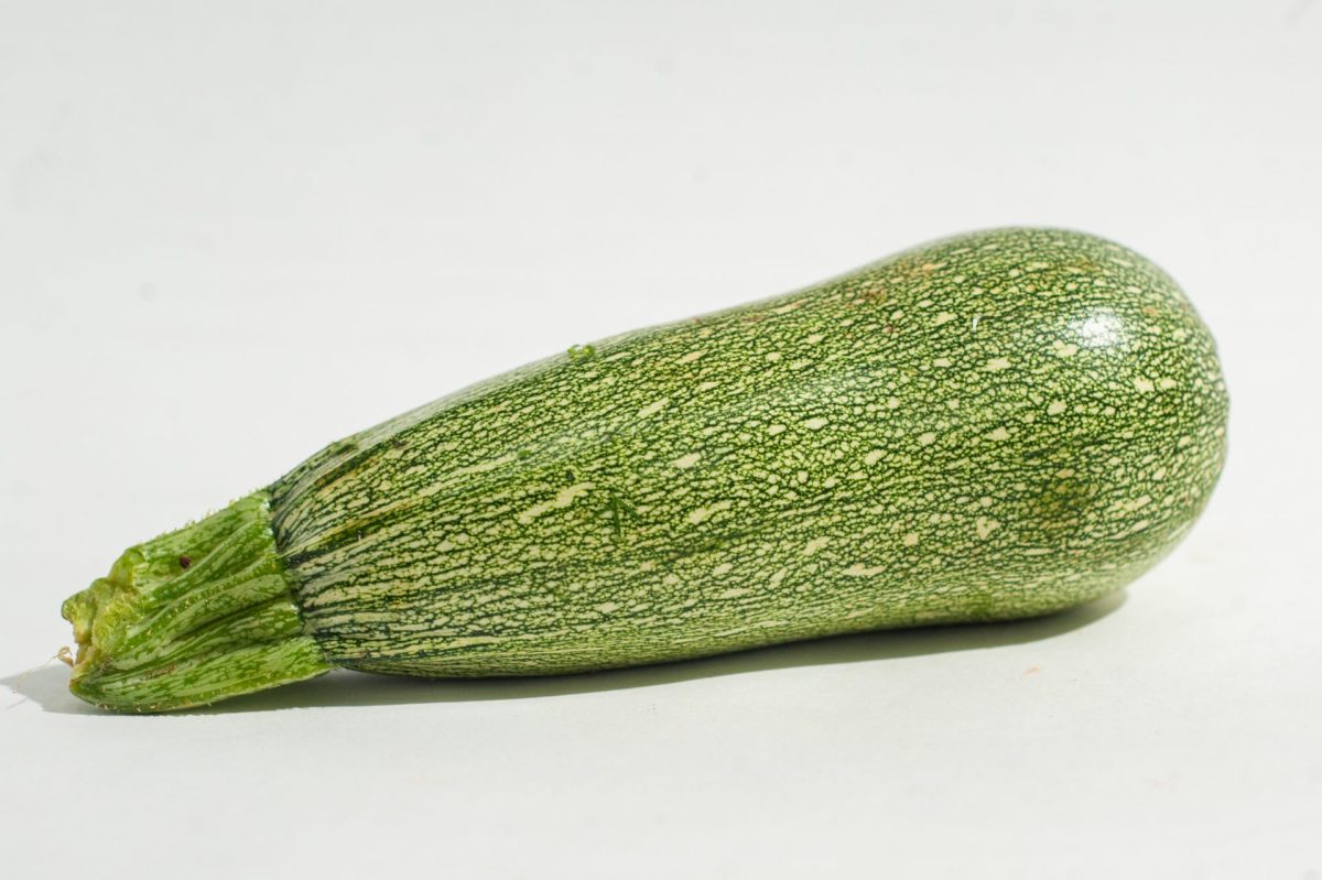 ⁦קישוא פרימיום (קילוגרם)⁩ – תמונה ⁦3⁩