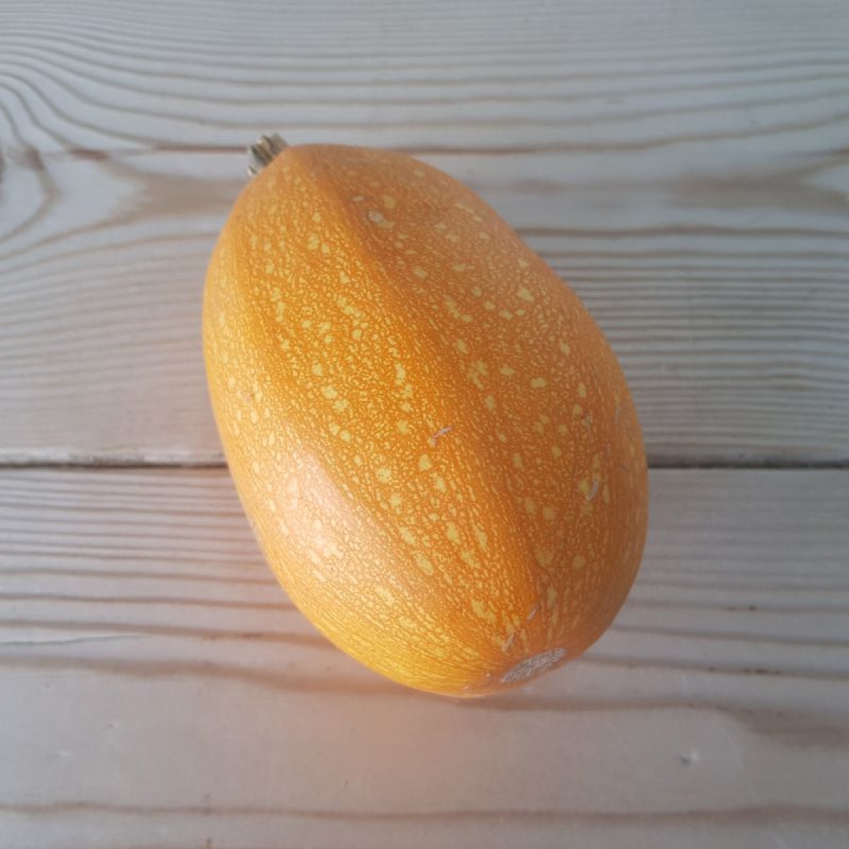 Img1025.jpg דלעת ספגטי (קילוגרם) – תמונה 1