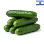 מלפפון (מושב אחיטוב) 1 קג