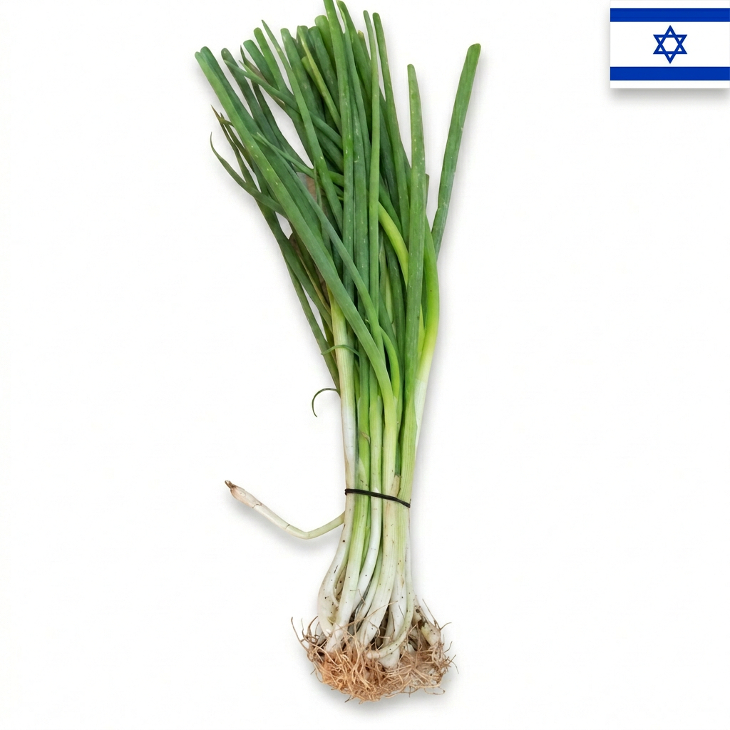 emilia-ai-studio-1772358401879 בצל ירוק (מארז) – תמונה 1