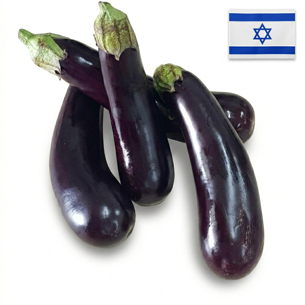 emilia-ai-studio-1772468994786 חציל חממה (קילוגרם) – תמונה 1