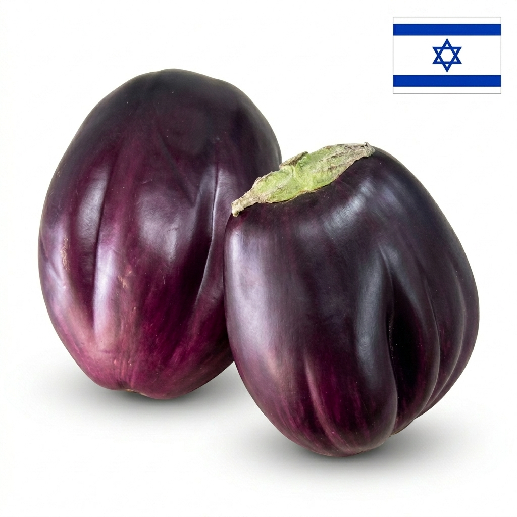 emilia-ai-studio-83038cb375a2-421273 חציל בלאדי (קילוגרם) – תמונה 1