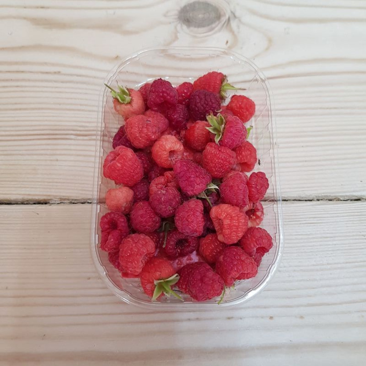 ⁦פטל אדום (מארז)⁩ – תמונה ⁦1⁩