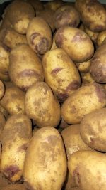 ⁦תפוח אדמה נשיקות (קילוגרם)⁩ – תמונה ⁦2⁩