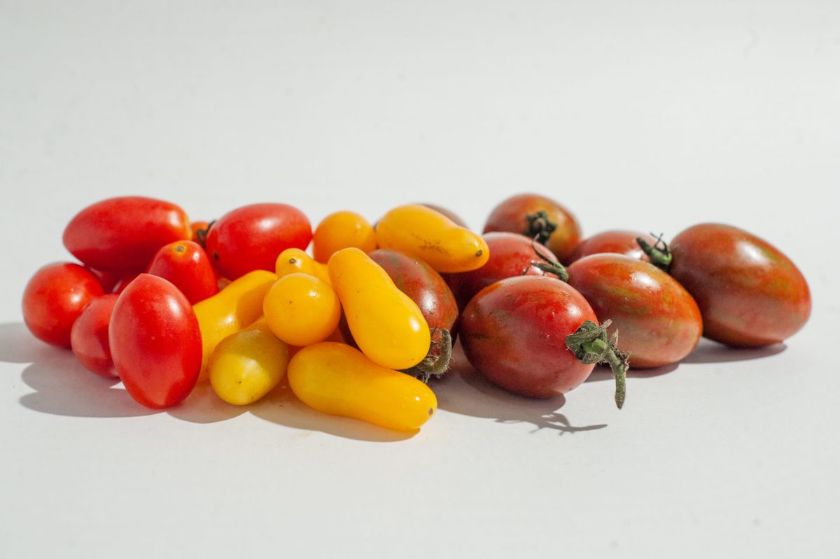 ⁦שרי צהוב 1 קג⁩ – תמונה ⁦2⁩