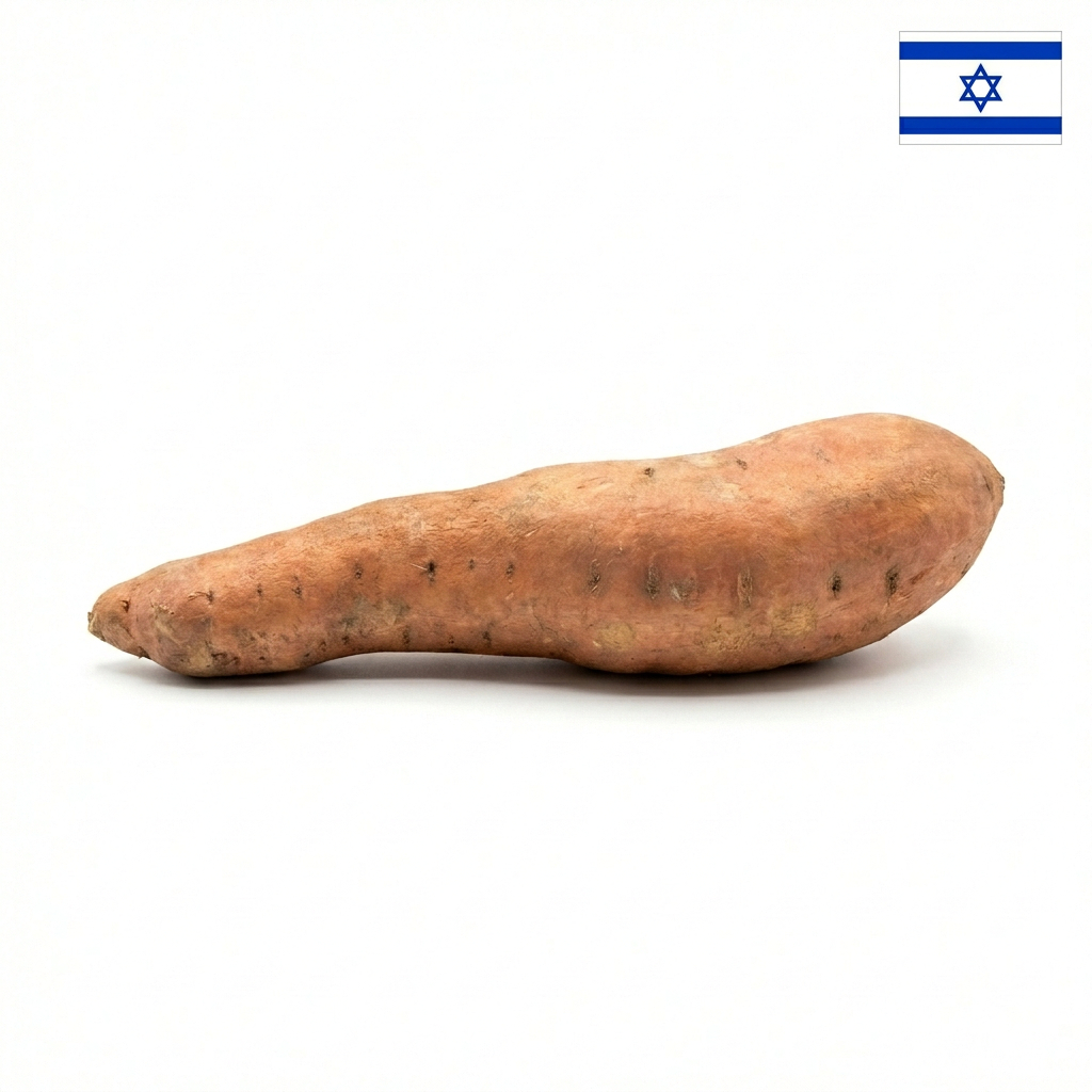 emilia-ai-studio-1772300954 (2) בטטה רגילה (קילוגרם) – תמונה 1