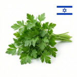 פטרוזיליה (צרור)