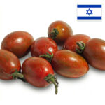 שרי ליקופן 1 קג