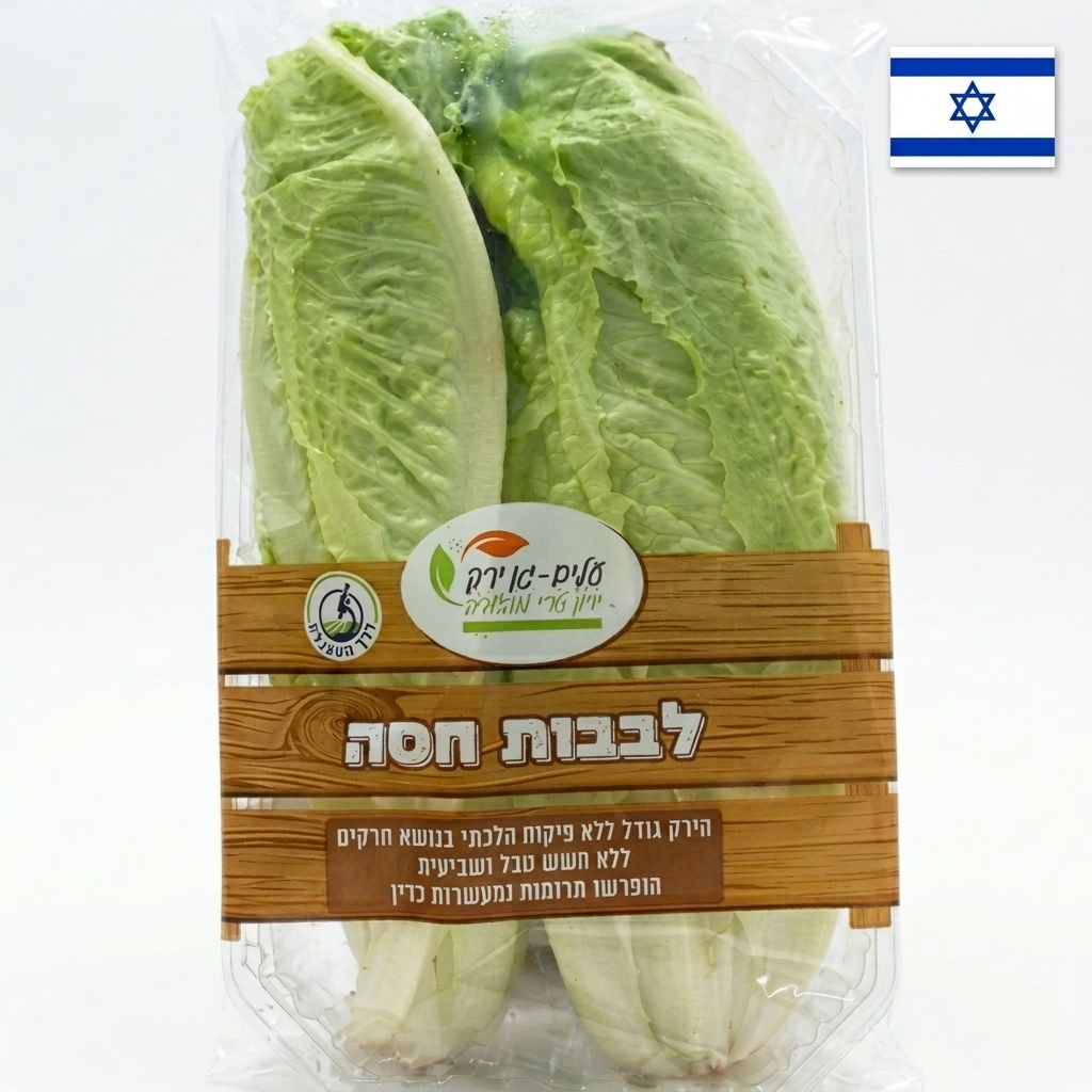 emilia-ai-studio-5a12db0bd410-1008015 חסה לבבות – תמונה 1