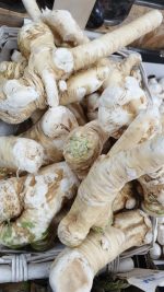 ⁦חזרת 1 יח⁩ – תמונה ⁦2⁩