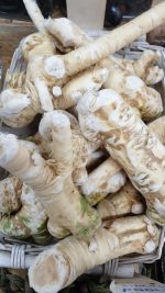 ⁦חזרת 1 יח⁩ – תמונה ⁦3⁩