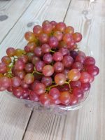 ⁦ענב שחור/חצי צבע (קילוגרם) יתכנו חרצנים - לפי מלאי⁩ – תמונה ⁦2⁩