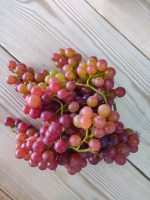 ⁦ענב שחור/חצי צבע (קילוגרם) יתכנו חרצנים - לפי מלאי⁩ – תמונה ⁦3⁩