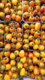 שרי מגוון 1 קג