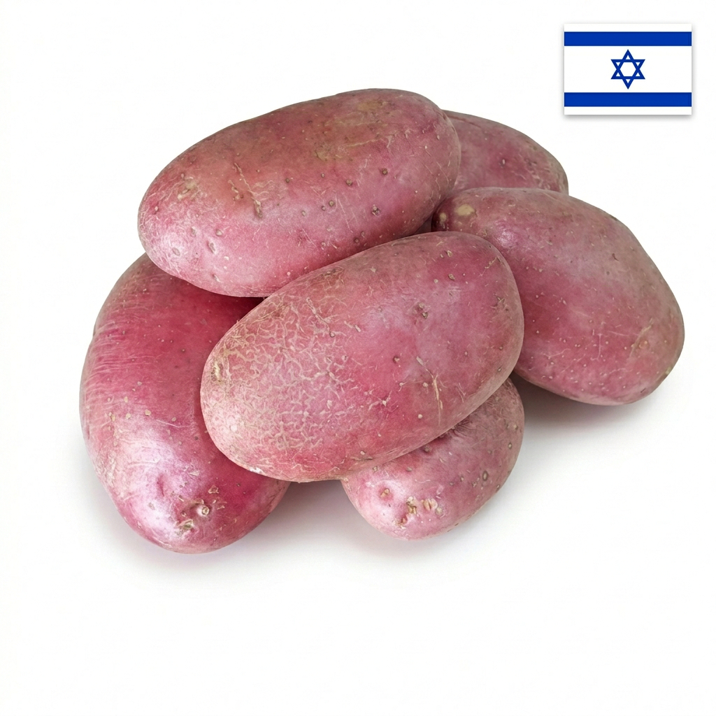 emilia-ai-studio-1772530328087 תפוח אדמה אדום בתפזורת (קילוגרם) – תמונה 1
