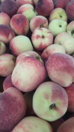 אפרסק לבן (קילוגרם)