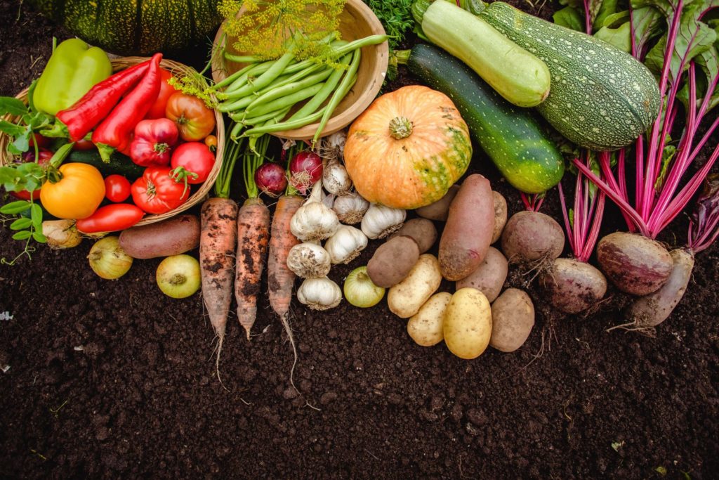 משלוחי ירקות ופירות