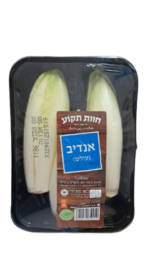⁦אנדיב לבן מארז (עולש)⁩ – תמונה ⁦2⁩