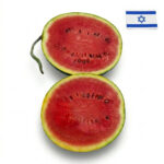 ⁦אבטיח מיני קנדי בול משקל ממוצע כ 1-3 ק"ג⁩ – תמונה ⁦2⁩